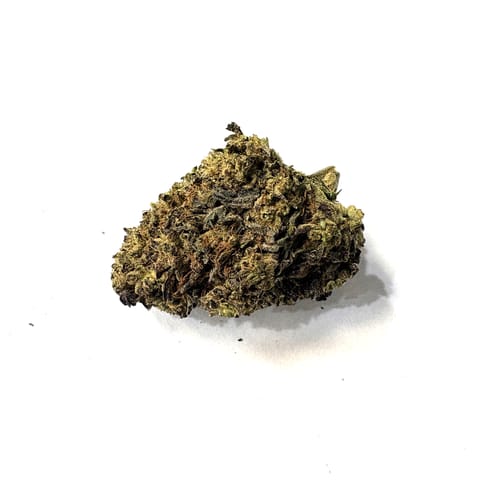 Black Amber (Collie Fields)