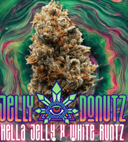 Jelly Donutz - 3.5g