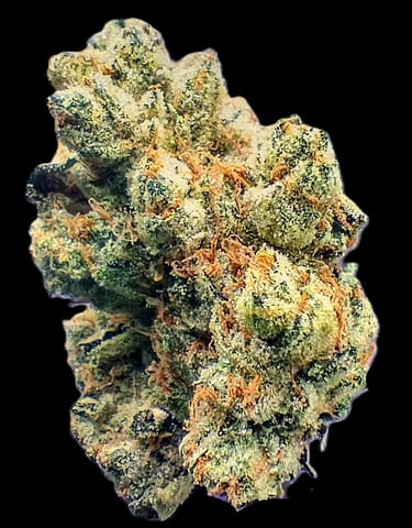 Chem dela Chem - Flower