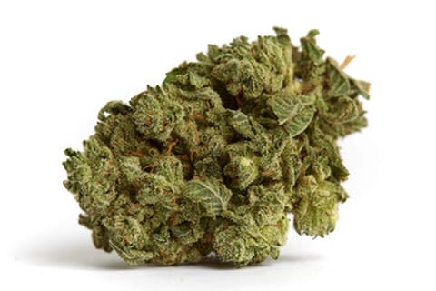 Mule Fuel 3.5