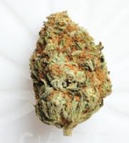 Sour Tangie Flower High Brix