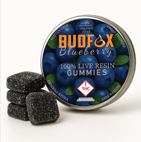 Blueberry BudFox 100MG Edible