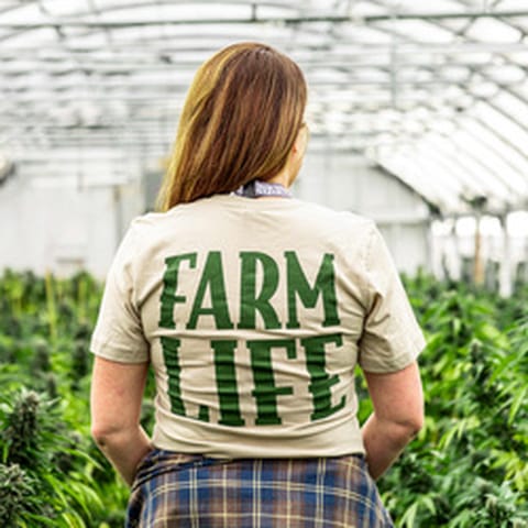 Maggie's Farm Shirt Tan Farm Life 2XL
