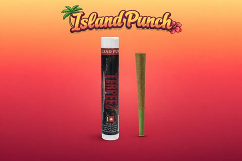 Island Punch 1G Infused Preroll (Terpeez)