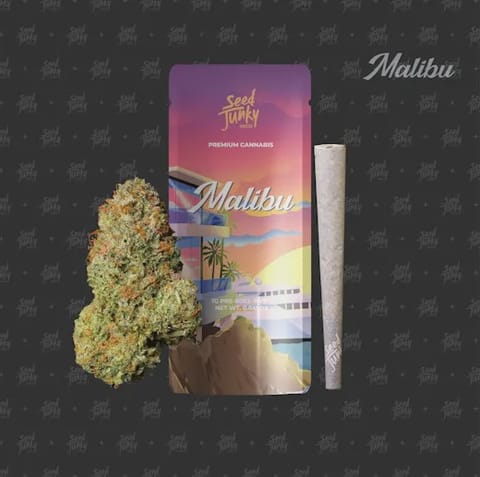 Seed Junky | Malibu (H) | 1g Indoor Preroll Joint