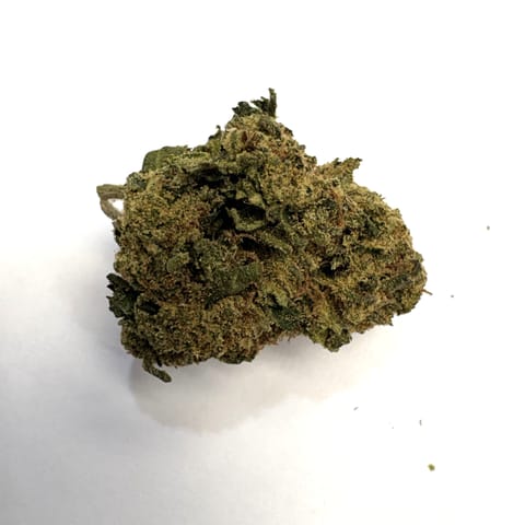 Gruntz (Collie Fields)