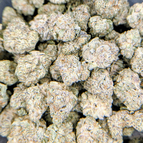 Black Lava Cake - Deli Flower - $6/g