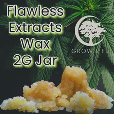 Flawless Wax The Champion 2g