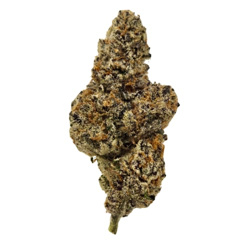 Crystal Smoothy (H-Gold) MED - Bulk