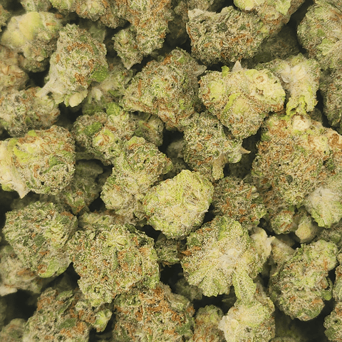 Green Ganja Flower Blue Dream Sativa - .