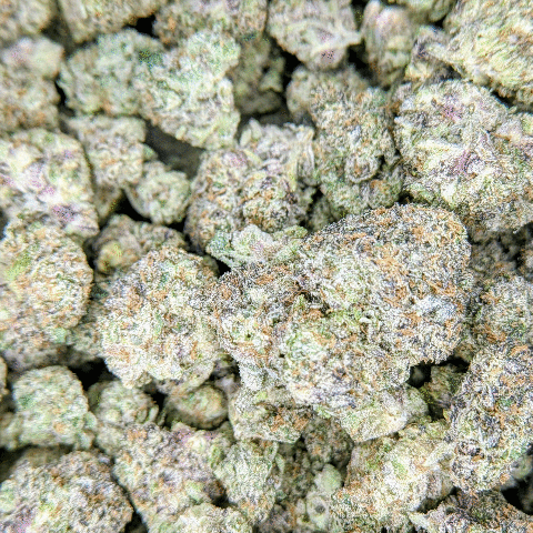 Pressure Pie- Deli Flower - $5/g