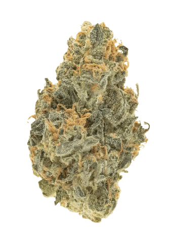 Marrion Berries- Hybrid