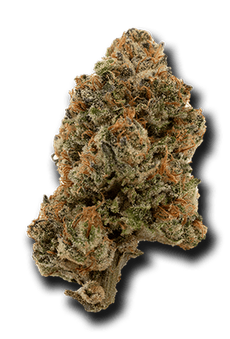 Red Runtz Indica