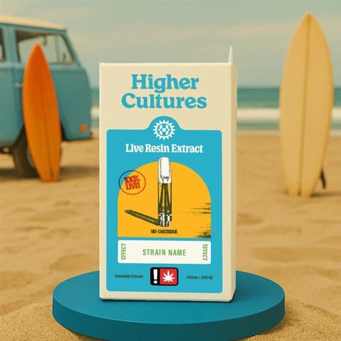 Higher Cultures LRE | Neon Sunshine