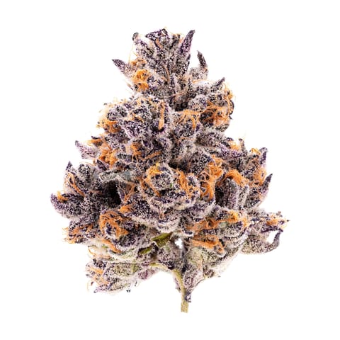 Pressure | Bodega | Indica | 3.5g | Bag