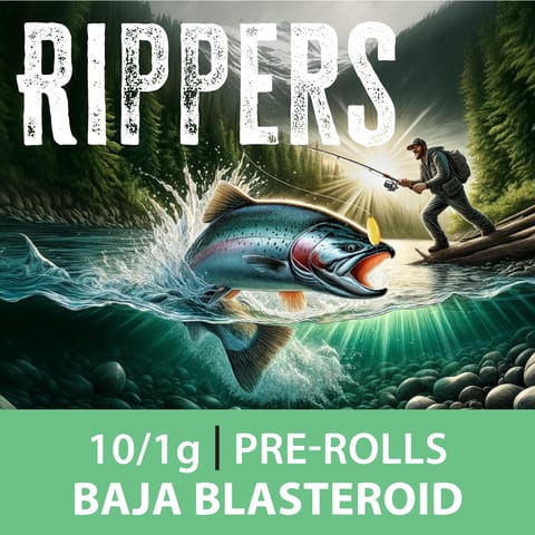Rippers - Baja Blasteroid - Preroll 1g 10pk