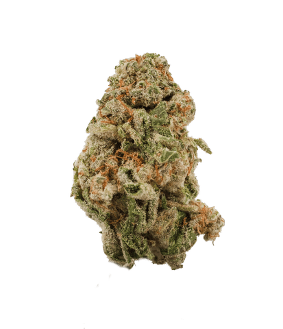 Slurricane - LL - 3.5G