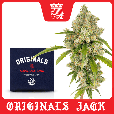Jack Herer - 3.5G