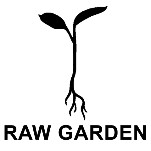 Raw Garden | God's Breath (H) | 1g Diamonds