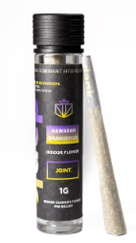 Dank - Hawaiian ThunderFuck | 1g Pre-Roll