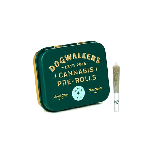 Dogwalkers | Pre-Roll | - Brownie Scout | Mini Dog | 0.35g x 5