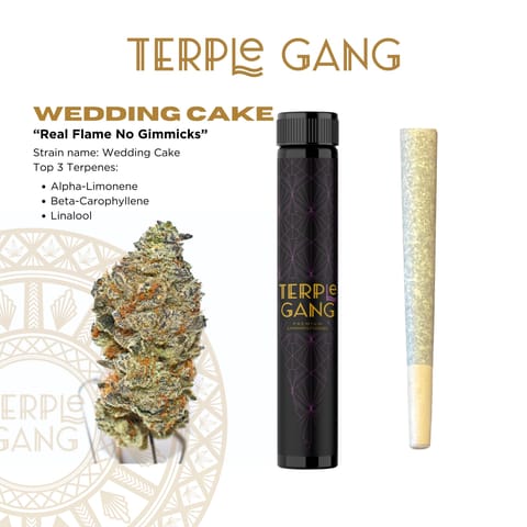 TERPLE GANG | WEDDING CAKE BX1 | 1G | PREROLL