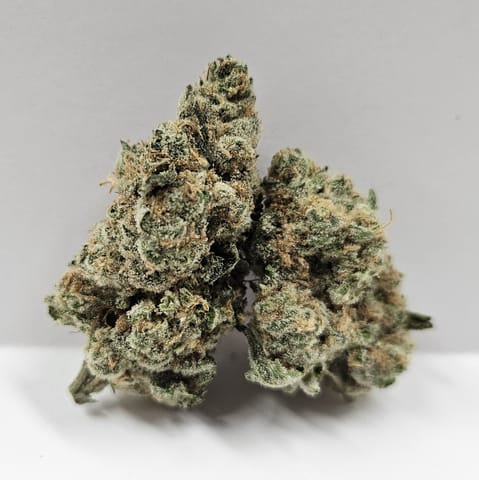 Portal Cannabis | Grease Bucket