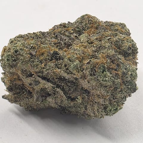 Portal Cannabis | Kush Mintz