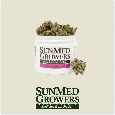 Purple Punch | Flower