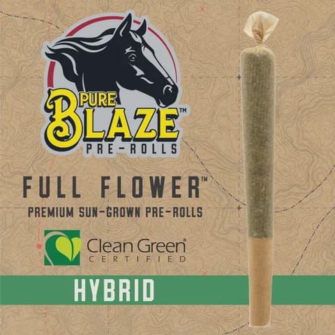 Pure Blaze | 1g Clementine Kush Pre-Roll | H |