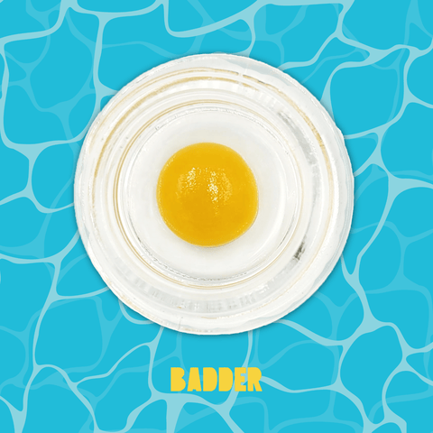 Buoyant Bob - Holler Haze - 1g Badder