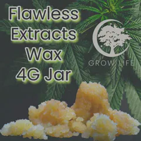 Flawless Wax The Champion 4g (MED)