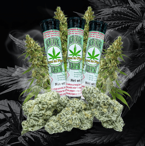 Garlic Icing x Meat Breath Shake by Tafoya Farms
