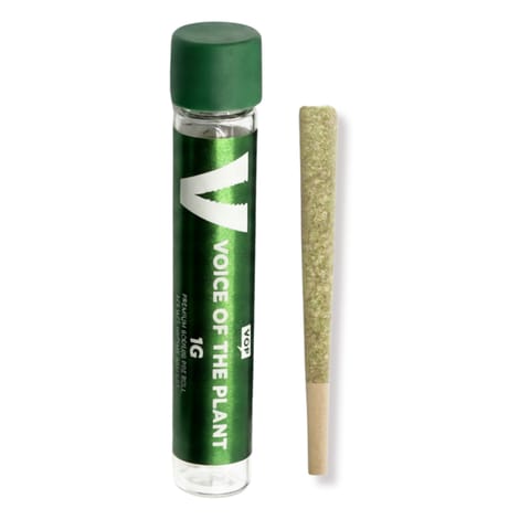 VOP - 1g Preroll - Lemon Cherry Sherbert
