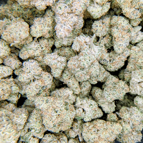 Stash Box - Deli Flower - $5/g