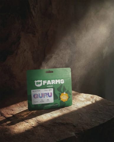 SP Farms | Guru | 3.5g Flower