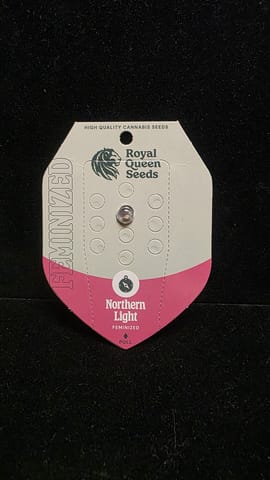 Feminized Seeds - Northern Light FEM