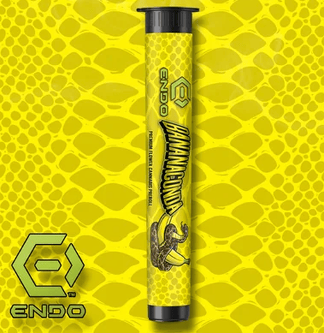(REC) Endo Pre-Roll 1g - Bananaconda