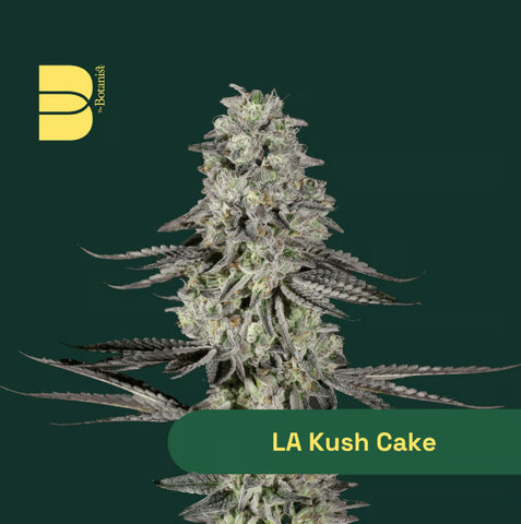 Flower | 3.5g | Indica | La Kush Cake