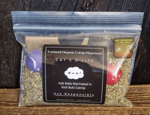 Cat's D'Lite