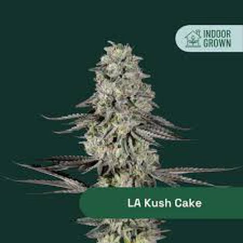 The Botanist - LA Kush Cake | Infused 2pk Pre-Rolls