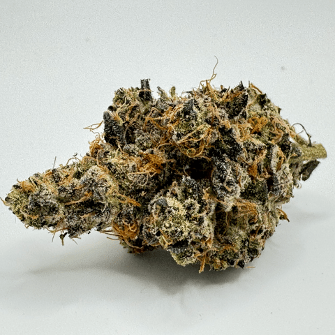 Bottom Bird - 3.5G PrePack
