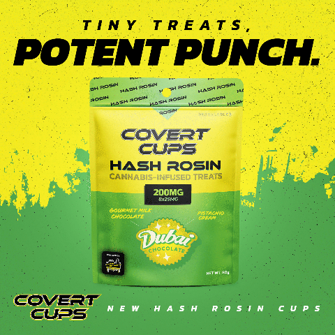 Dubai Chocolate - Covert Cups - Rosin 200mg - 8x25mg