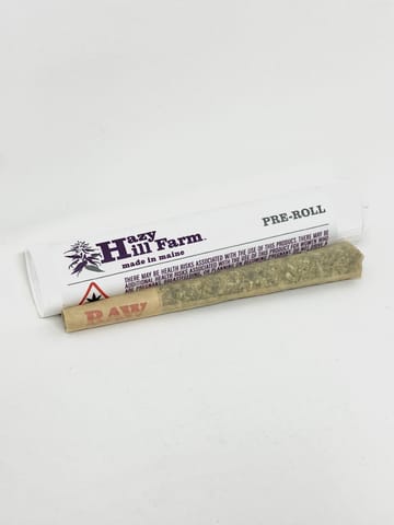 Hazy Hill Farm | .6g 1.25 Preroll - Papaya Flambe