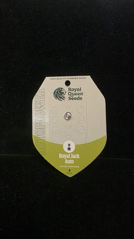 Auto Flowering Seeds - Royal Jack Auto