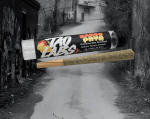 Mango Paya Preroll Tao Labs