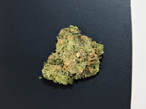 Bud & Mary's | Bulk | Blue Dream