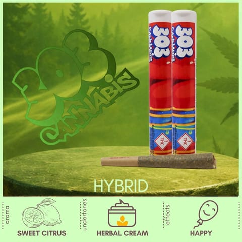 Trifecta Hybrid Pre-Roll by 303 Cannabis | Golden Rookie