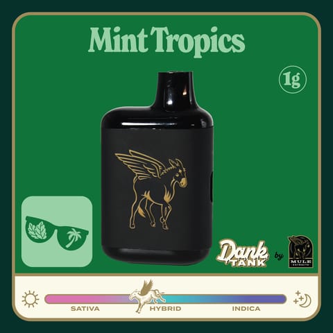 Mule Live Resin Dank Tank | Mint Tropics Hybrid 1g