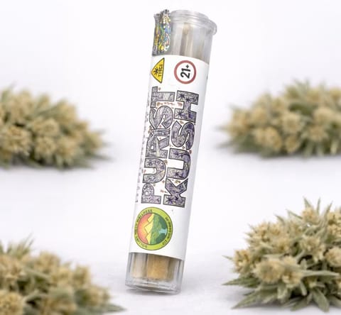 Purist Kush - 1g 2Pk - Pre-Rolls - Kief Infused